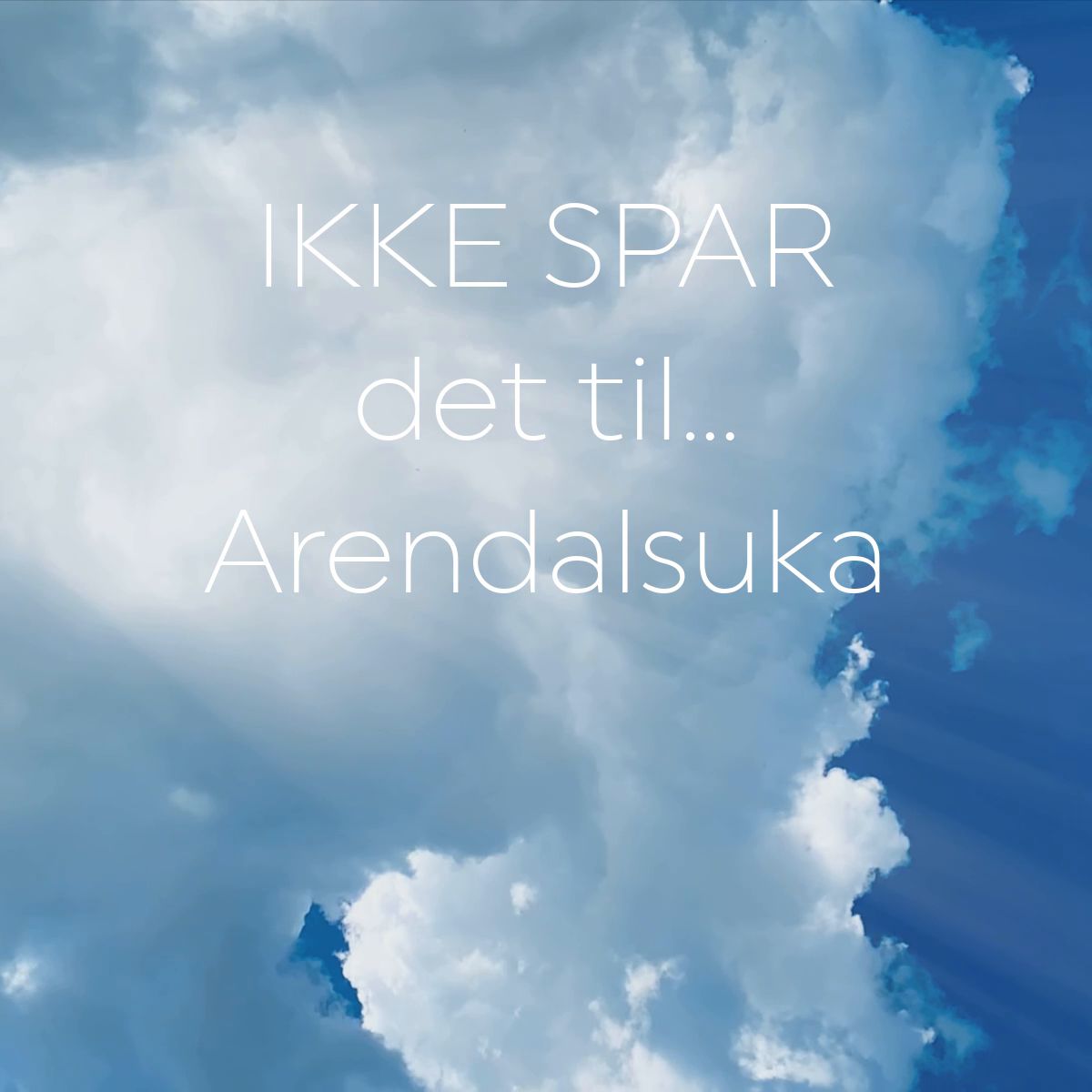 Ikke spar det til… Arendalsuka
